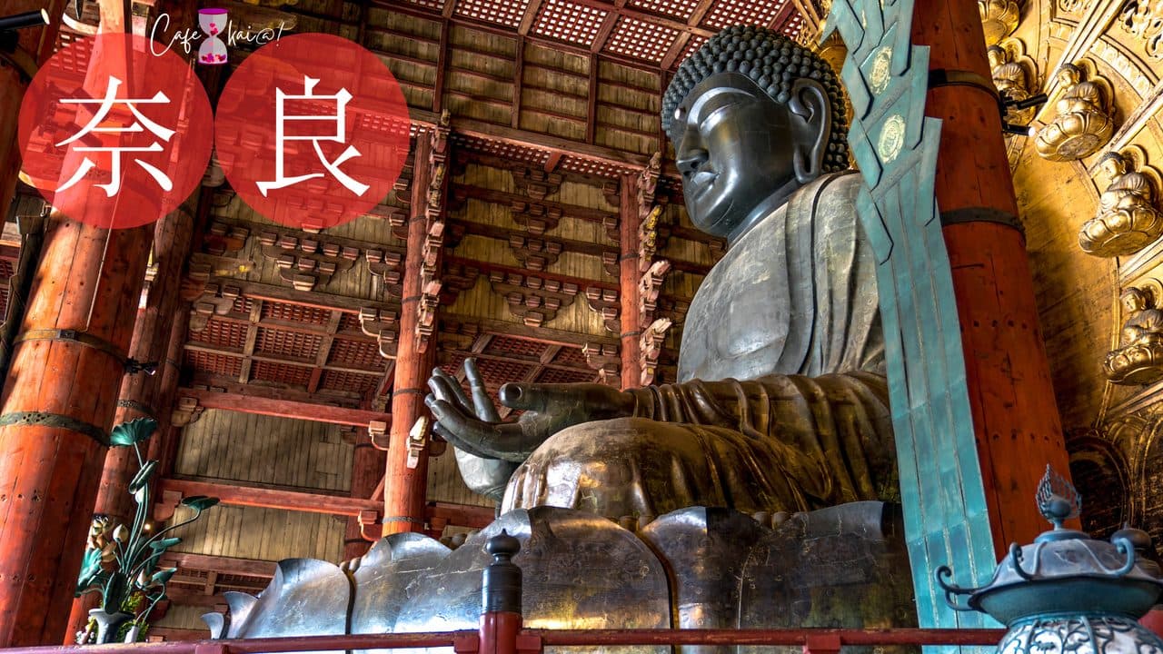 奈良県のカフェ会@!(東大寺大仏殿)